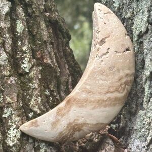 Curved Stone Habitat Accessory